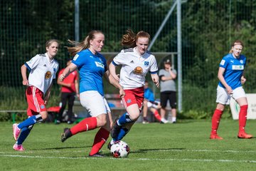 Bild 382 - wBJ Hamburger SV - Holstein Kiel : Ergebnis: 2:0